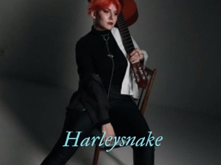 Harleysnake