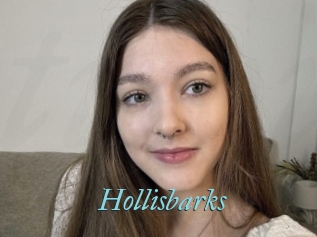 Hollisbarks