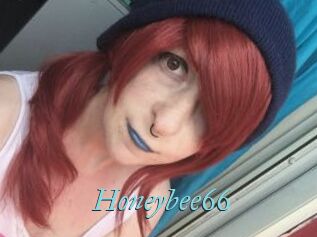 Honeybee66