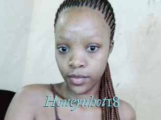 Honeynhot18