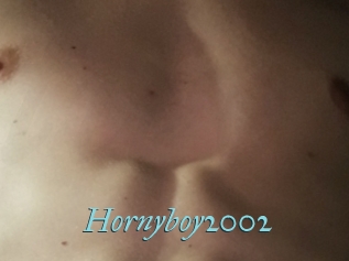 Hornyboy2002