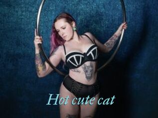 Hot_cute_cat