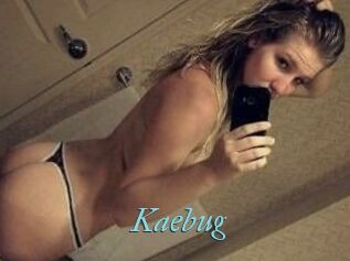 Kaebug
