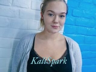 KaliSpark
