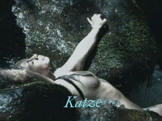 Katze