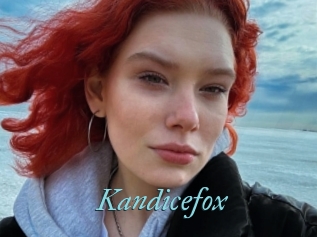 Kandicefox