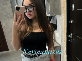 Karinamikus