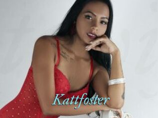 Kattfoster
