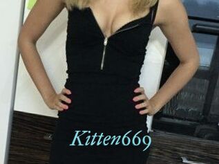 Kitten669