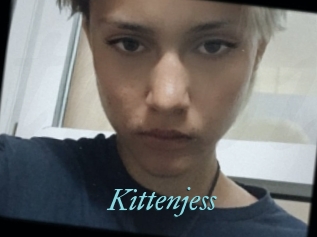 Kittenjess
