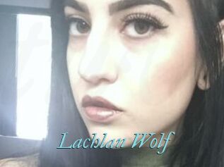 Lachlan_Wolf