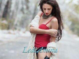 LediAmina