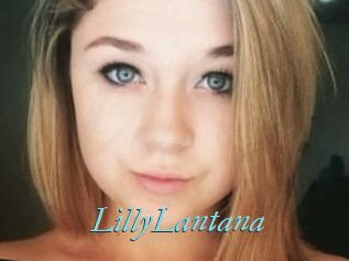 LillyLantana