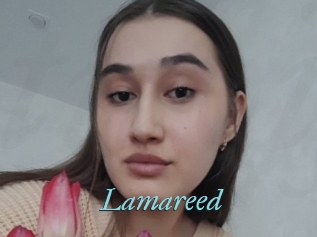 Lamareed