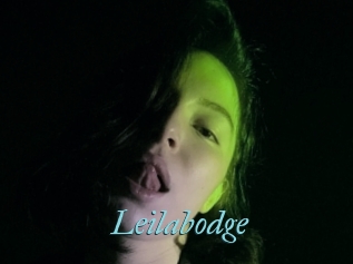 Leilabodge