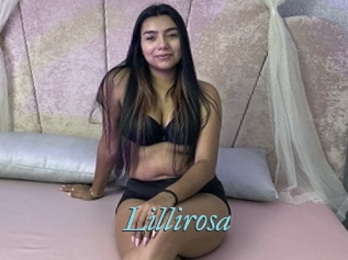 Lillirosa
