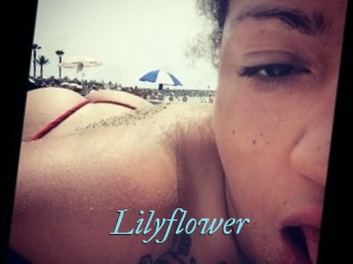Lilyflower