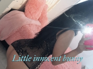 Little_innocent_bunny