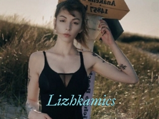 Lizhkamics