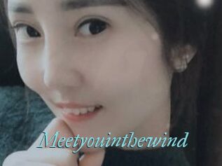 Meetyouinthewind