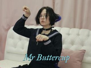 Mr_Buttercup