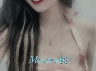 meadow88 Tube video jeune