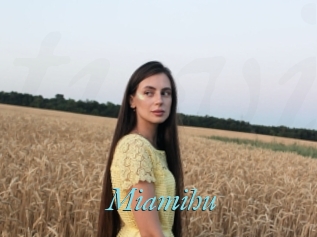 Miamihu