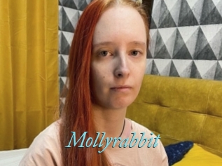 Mollyrabbit