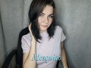 Mosquito