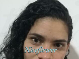 Nice_flower