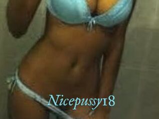Nicepussy18