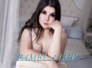 PAMELA_LUV