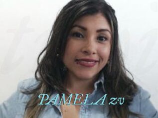 PAMELA_zv
