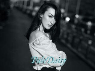 PaleDaisy