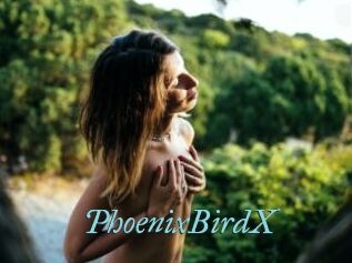 PhoenixBirdX