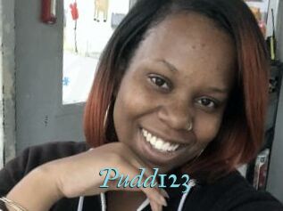 Pudd123