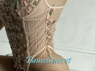 Pamelasecret