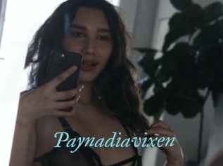 Paynadiavixen