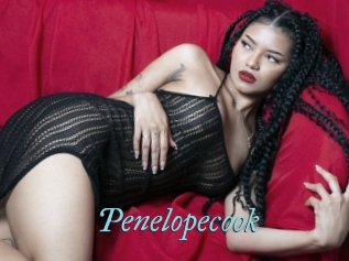 Penelopecook