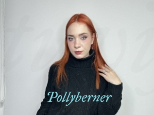 Pollyberner