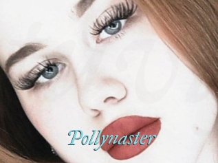 Pollynaster