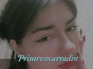 Primrosecarradin
