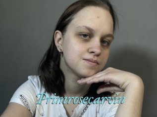 Primrosecarvin