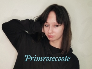 Primrosecoote