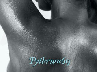 Pytbrwn69