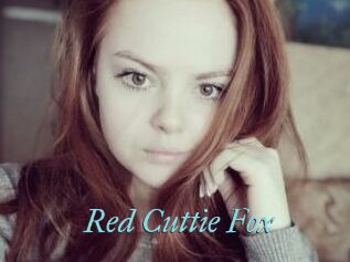 Red_Cuttie_Fox