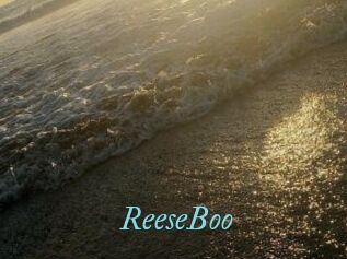 ReeseBoo