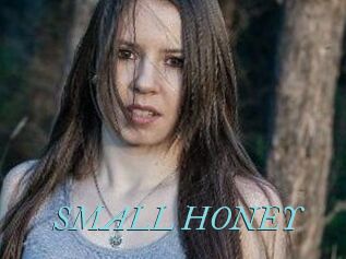 SMALL_HONEY