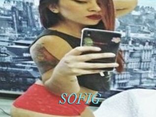 SOFI_G