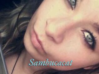 Sambucacat